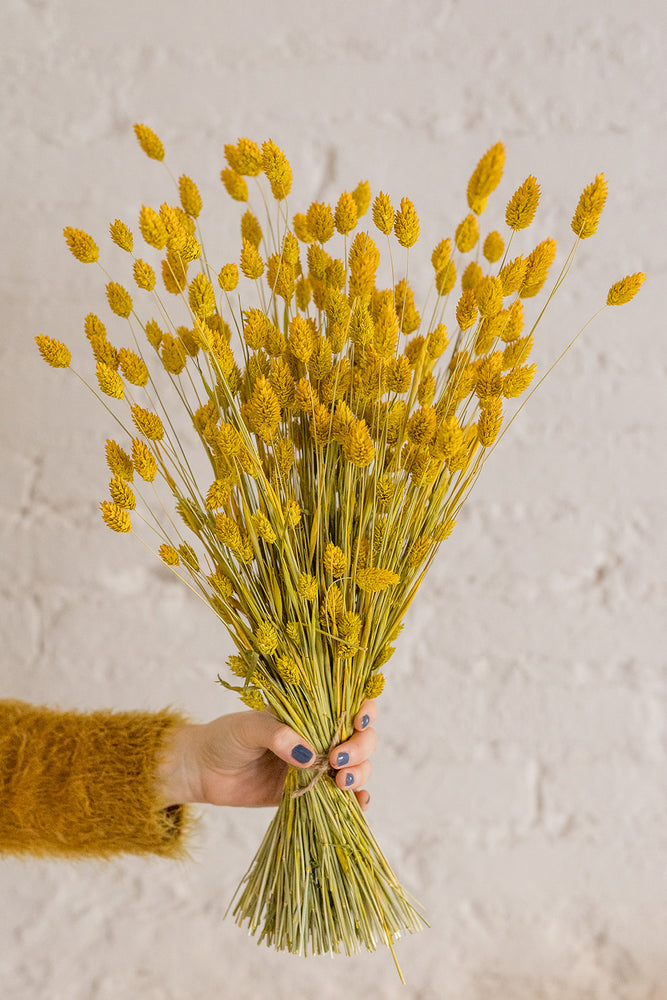 Ramillete hecho con flores preservadas o secas